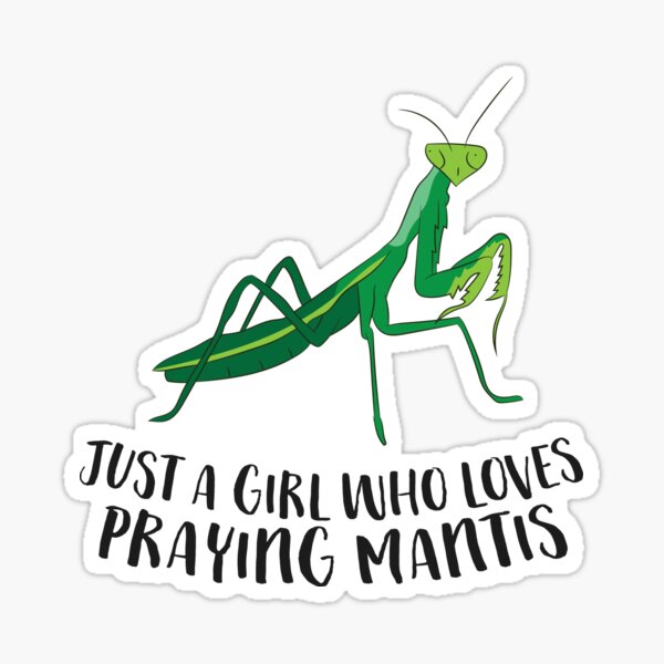 Just a Girl Who Loves Praying Mantis Love Praying Mantis Sticker