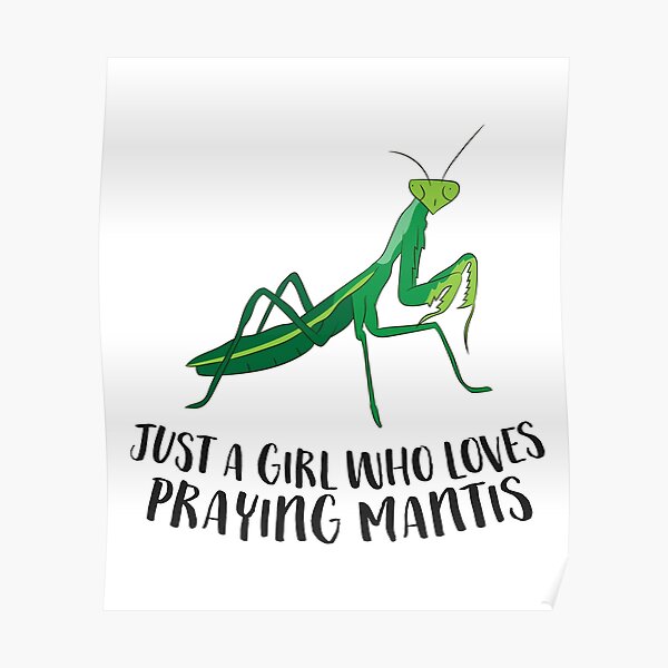 Just a Girl Who Loves Praying Mantis Love Praying Mantis Poster