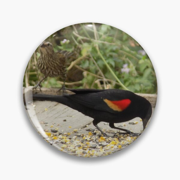 Item preview, Male & Female Red-winged Blackbirds (Agelaius phoeniceus) at a Feeding Station designed and sold by Inuyasha907.