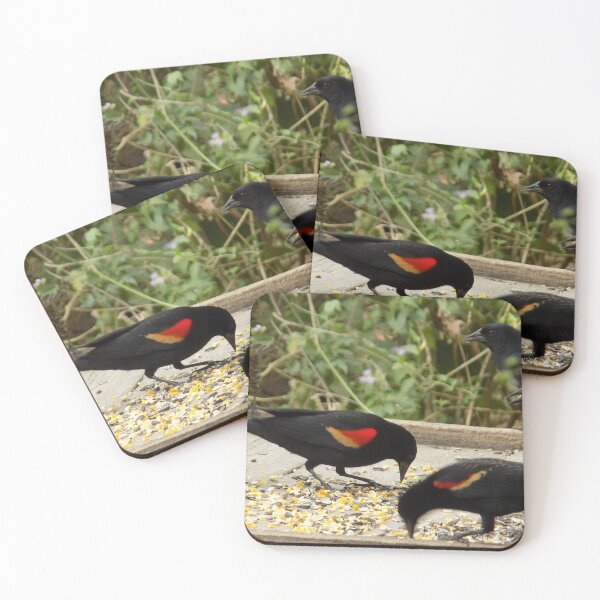 Item preview, Male & Female Red-winged Blackbirds (Agelaius phoeniceus) at a Feeding Station designed and sold by Inuyasha907.