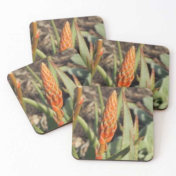 Item preview, Red Cactus  designed and sold by Naomi80.