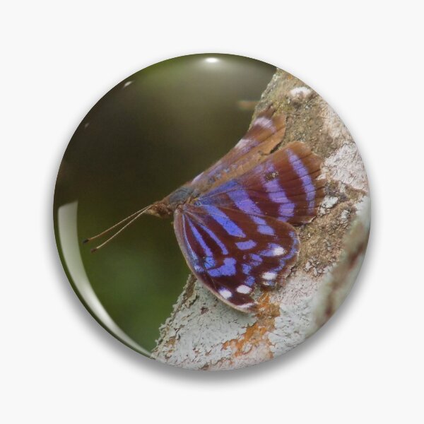 Item preview, Mexican Bluewing (Myscelia ethusa) designed and sold by Inuyasha907.
