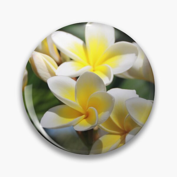 Item preview, Frangipani designed and sold by Kirsten Covington.