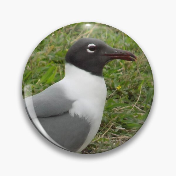 Item preview, Laughing Gull (Leucophaeus atricilla) Side Profile designed and sold by Inuyasha907.