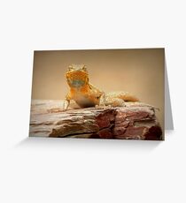 Common Side-blotched Lizard~ Eye Contact Greeting Card