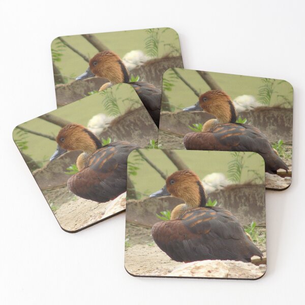 Item preview, Fulvous Whistling Duck (Dendrocygna bicolor) Resting designed and sold by Inuyasha907.