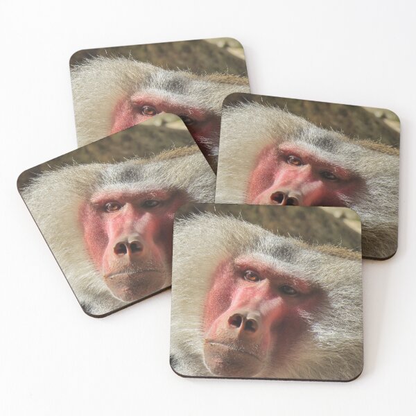 Item preview, Hamadryas Baboon  designed and sold by Cindy Hitch.