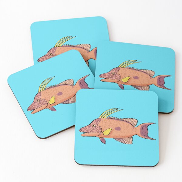 Item preview, Hogfish designed and sold by sharkbait83.