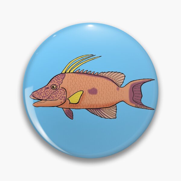 Item preview, Hogfish designed and sold by sharkbait83.
