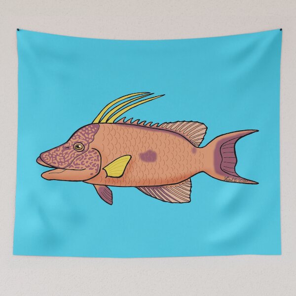 Item preview, Hogfish designed and sold by sharkbait83.
