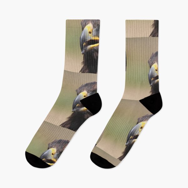 Artikelvorschau, Junger Steinadler entworfen und verkauft von RichImage.