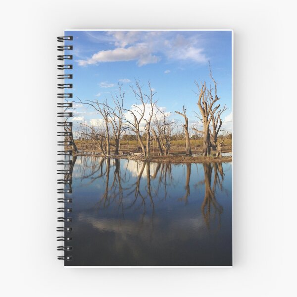 Item preview, Reflective Lagoon designed and sold by Cindy Hitch.