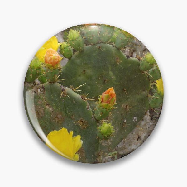 Item preview, Prickly Pear (Opuntia sp.) Blooming Yellow designed and sold by Inuyasha907.