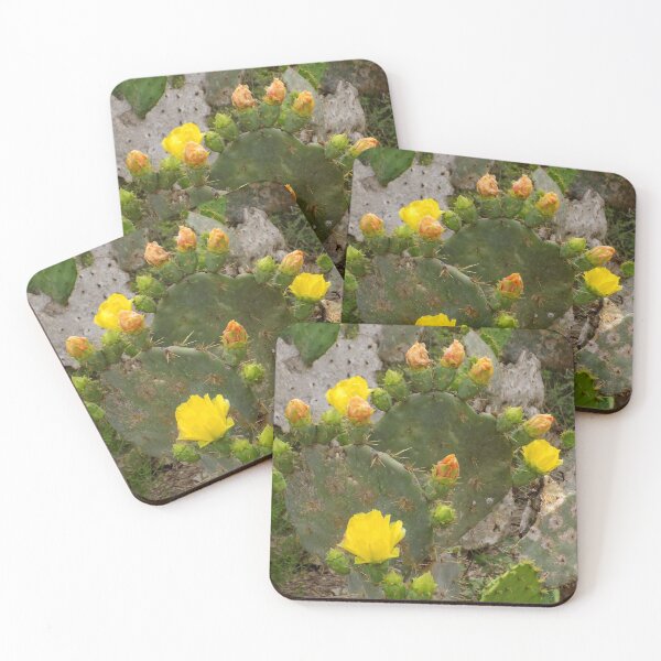 Item preview, Prickly Pear (Opuntia sp.) Blooming Yellow designed and sold by Inuyasha907.