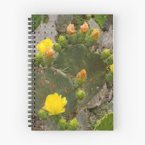 Item preview, Prickly Pear (Opuntia sp.) Blooming Yellow designed and sold by Inuyasha907.