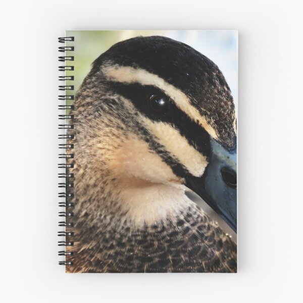 Item preview, Duck Up Close designed and sold by Cindy Hitch.