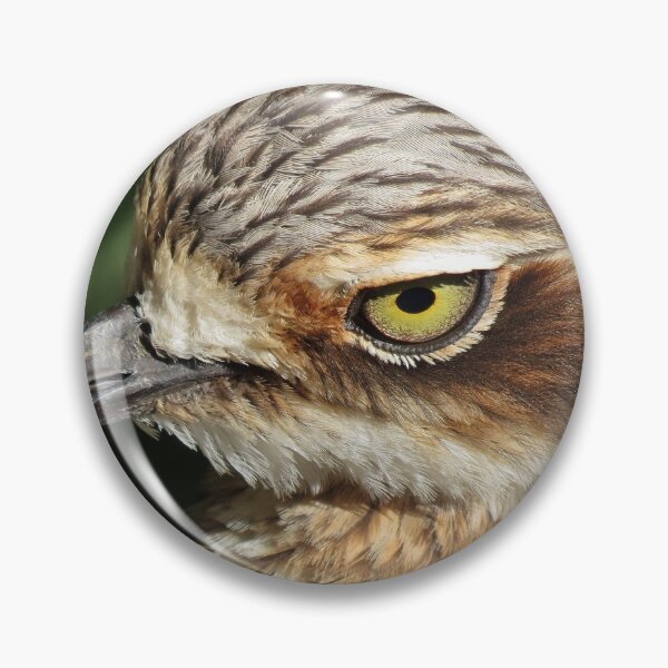 Item preview, Bush Stone-Curlew designed and sold by Cindy Hitch.
