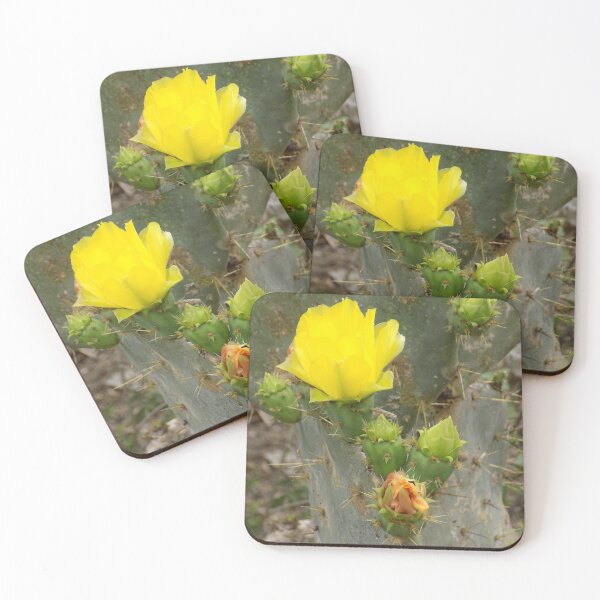 Item preview, Prickly Pear (Opuntia sp.) Blooms!  designed and sold by Inuyasha907.