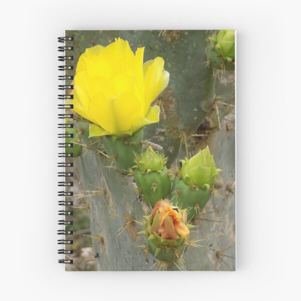 Item preview, Prickly Pear (Opuntia sp.) Blooms!  designed and sold by Inuyasha907.
