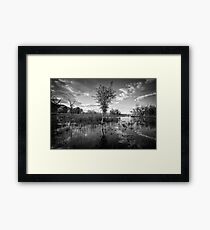 Swamp Stand Framed Print