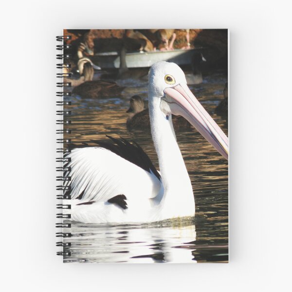 Item preview, Pelican designed and sold by Cindy Hitch.