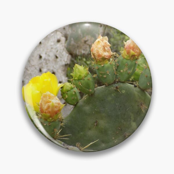 Item preview, Prickly Pear (Opuntia sp.) Flower Pads designed and sold by Inuyasha907.