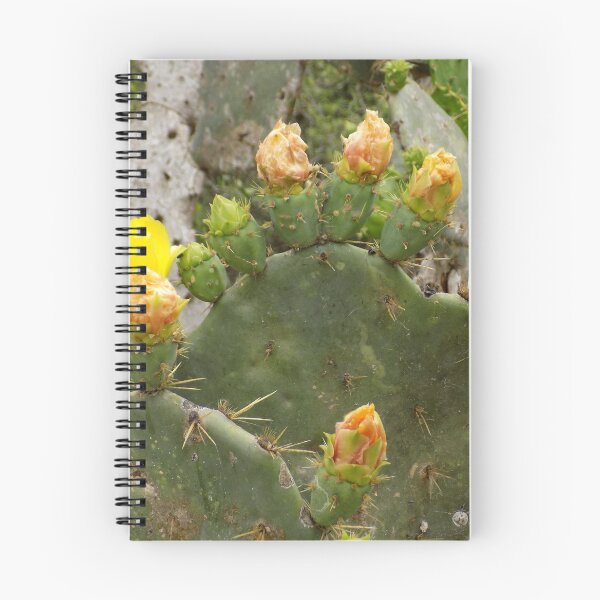 Item preview, Prickly Pear (Opuntia sp.) Flower Pads designed and sold by Inuyasha907.