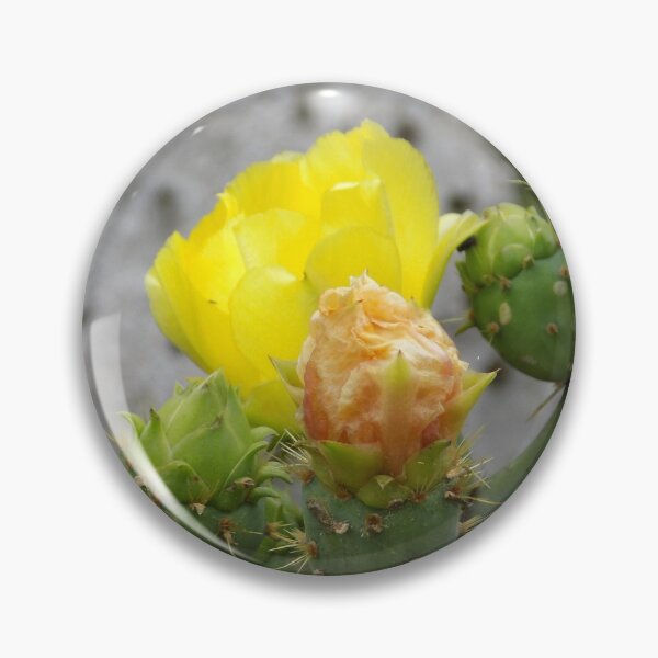 Item preview, Prickly Pear (Opuntia sp.) Flowers  designed and sold by Inuyasha907.