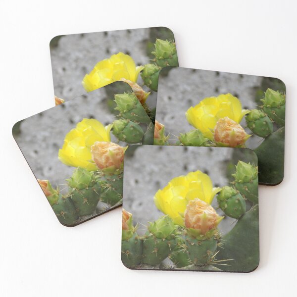 Item preview, Prickly Pear (Opuntia sp.) Flowers  designed and sold by Inuyasha907.
