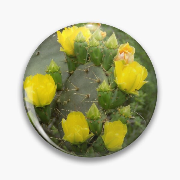 Item preview, Prickly Pear (Opuntia sp.) Yellow Petal Blooms designed and sold by Inuyasha907.