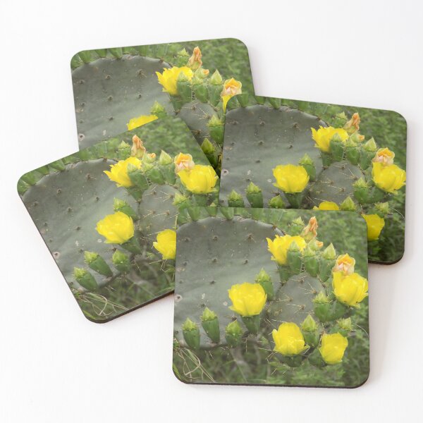 Item preview, Prickly Pear (Opuntia sp.) Yellow Petal Blooms designed and sold by Inuyasha907.