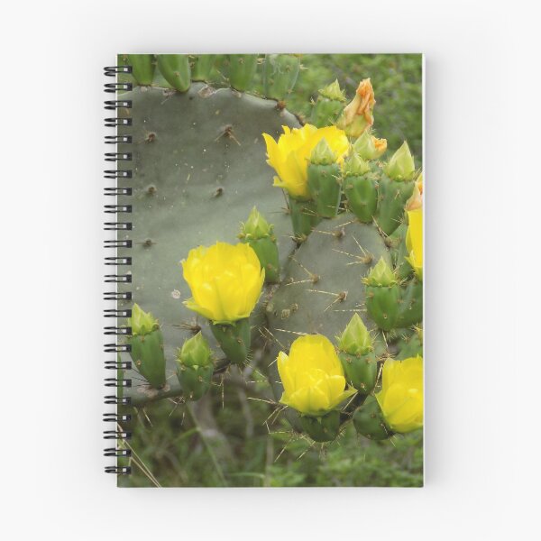 Item preview, Prickly Pear (Opuntia sp.) Yellow Petal Blooms designed and sold by Inuyasha907.