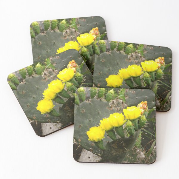 Item preview, Prickly Pear (Opuntia sp.) Yellow Flowers in a Line designed and sold by Inuyasha907.