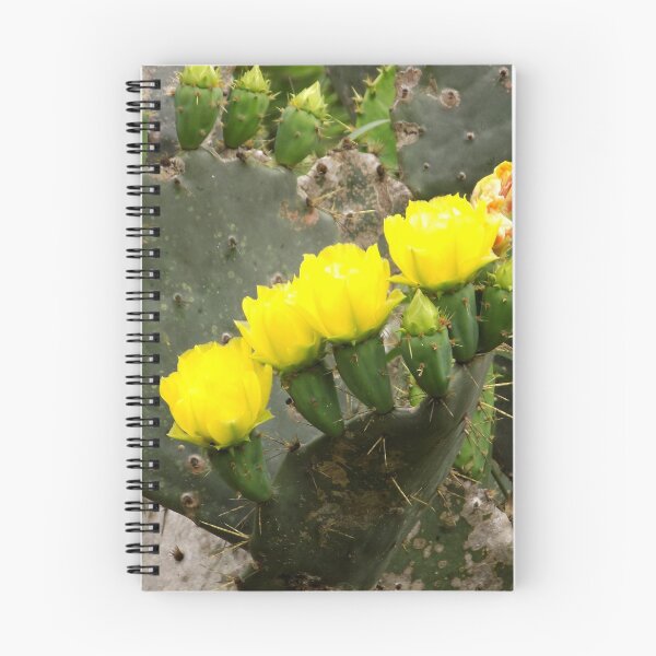 Item preview, Prickly Pear (Opuntia sp.) Yellow Flowers in a Line designed and sold by Inuyasha907.