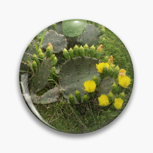 Item preview, Prickly Pear (Opuntia sp.) Stretching Towards the Sun designed and sold by Inuyasha907.