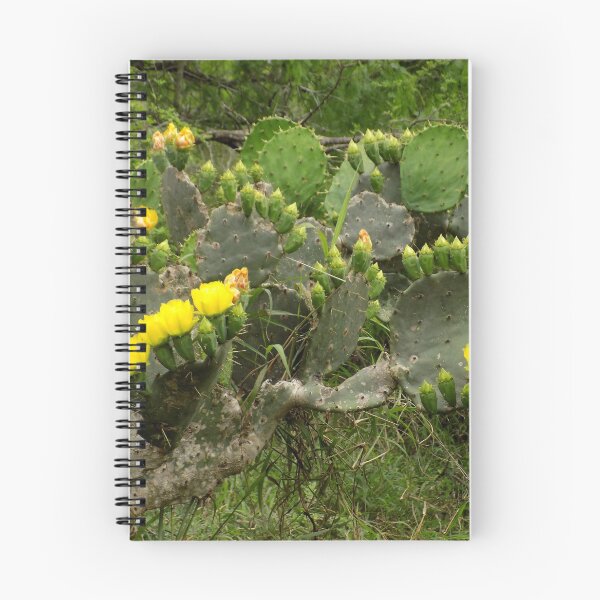 Item preview, Prickly Pear (Opuntia sp.) Stretching Towards the Sun designed and sold by Inuyasha907.