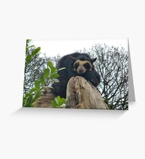 Spectacled Bear Grußkarte