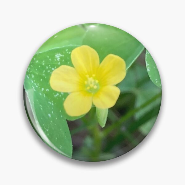 Item preview, Tiny Hidden Wildflower  designed and sold by Amanda1775.
