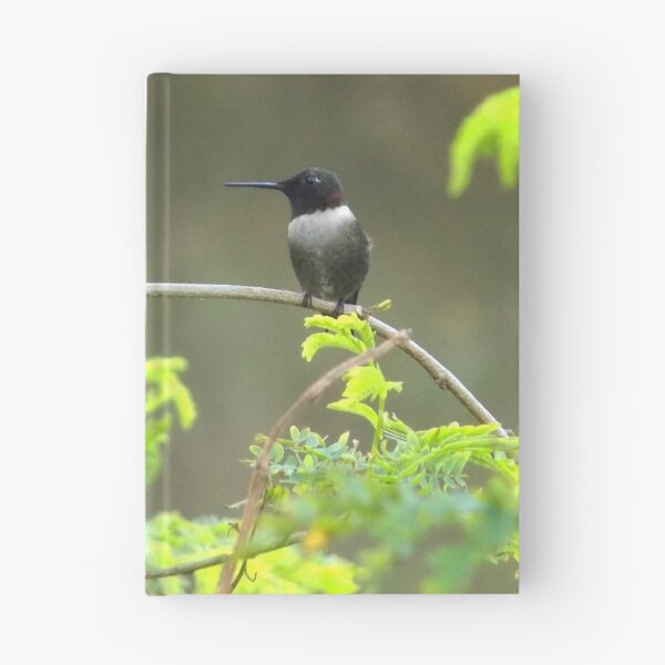 Item preview, Ruby-throated Hummingbird (Archilochus colubris) on a Twig designed and sold by Inuyasha907.