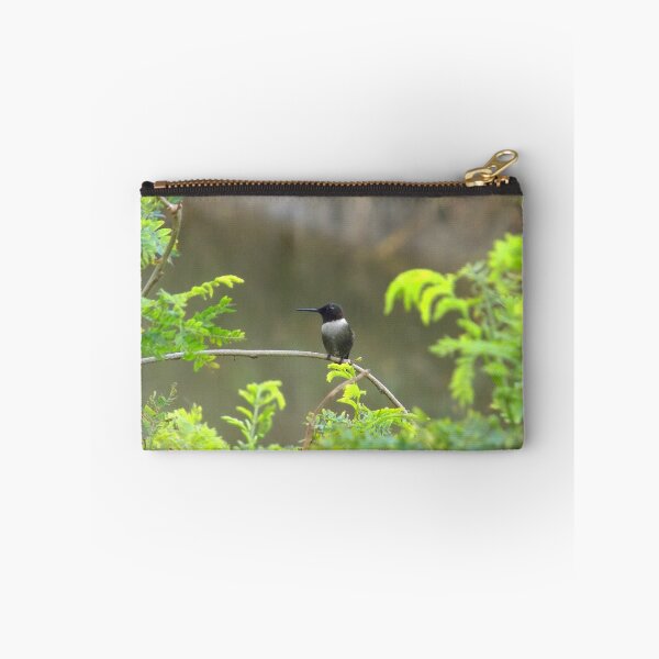 Item preview, Ruby-throated Hummingbird (Archilochus colubris) on a Twig designed and sold by Inuyasha907.