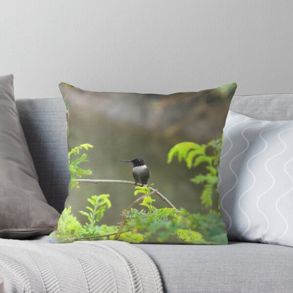 Item preview, Ruby-throated Hummingbird (Archilochus colubris) on a Twig designed and sold by Inuyasha907.