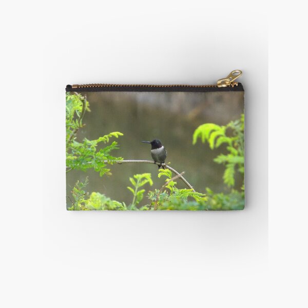 Item preview, Ruby-throated Hummingbird (Archilochus colubris) on a Twig 2 designed and sold by Inuyasha907.