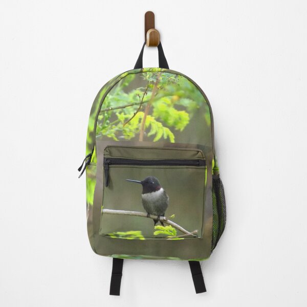Item preview, Ruby-throated Hummingbird (Archilochus colubris) on a Twig 2 designed and sold by Inuyasha907.