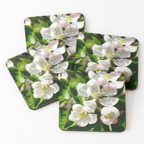 Item preview, Apple Blossoms Blooming Photgraphy designed and sold by KaelaRebeccaArt.