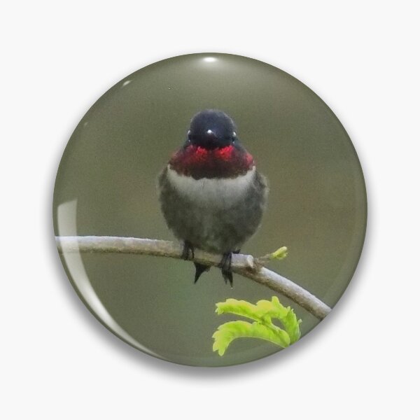 Item preview, Ruby-throated Hummingbird (Archilochus colubris) on a Twig 3 designed and sold by Inuyasha907.
