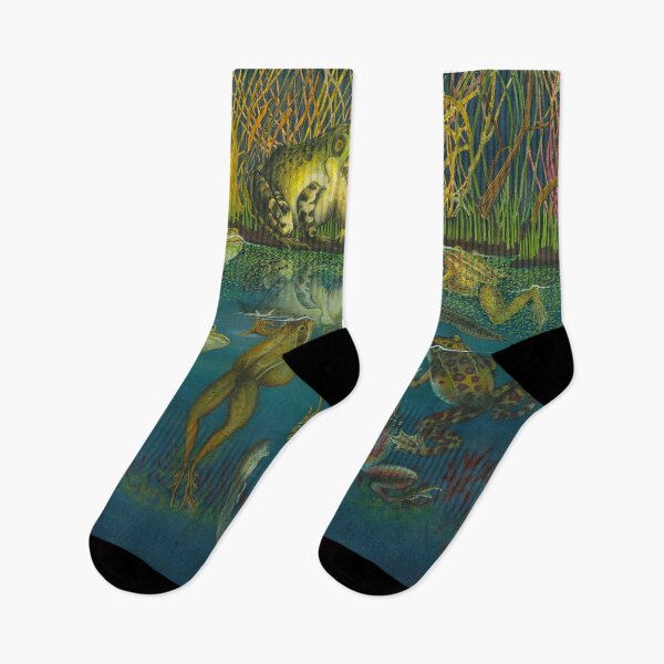 Item preview, The Rana Storyteller by Virgil L Evans Jr. designed and sold by Evans Trust.