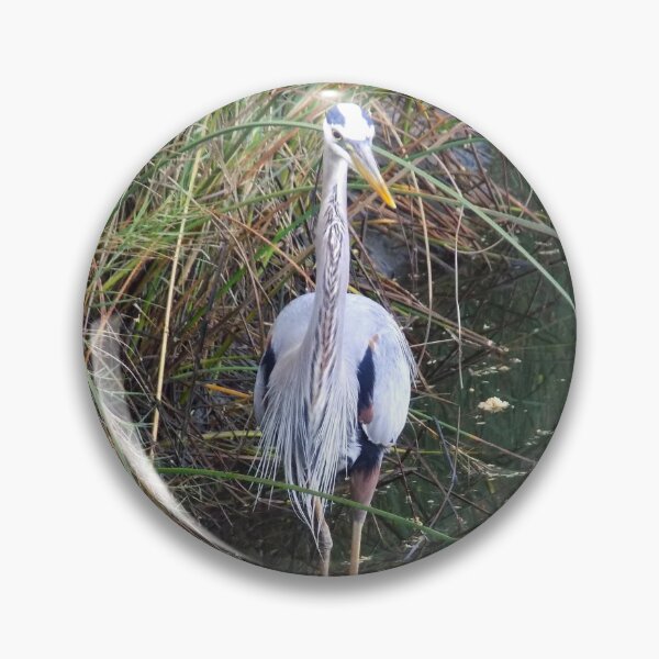 Item preview, Garza azul grande (Ardea herodias) en un estuario designed and sold by Inuyasha907.