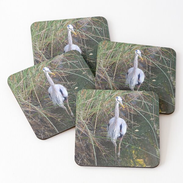 Item preview, Great Blue Heron (Ardea herodias) in a Estuary  designed and sold by Inuyasha907.