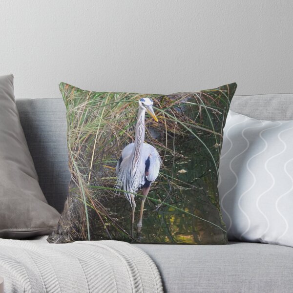 Item preview, Great Blue Heron (Ardea herodias) in a Estuary  designed and sold by Inuyasha907.