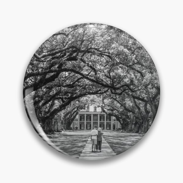 Artikelvorschau, Schwarz-Weiß-Zeitlosigkeit der Oak Alley und was Louisiana. entworfen und verkauft von biscuitduff.